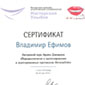 Ефимов сертификат